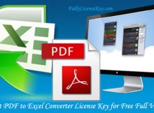 Adept-PDF-to-Excel-Converter-License-Key
