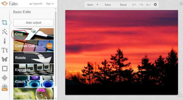 picmonkey free online picture editor